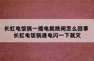 长虹电饭锅一插电就跳闸怎么回事 长虹电饭锅通电闪一下就灭